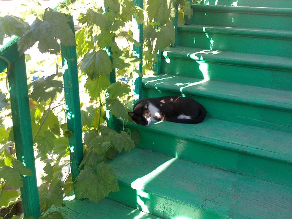 Green Stairs Guest House Tbilisi Ngoại thất bức ảnh