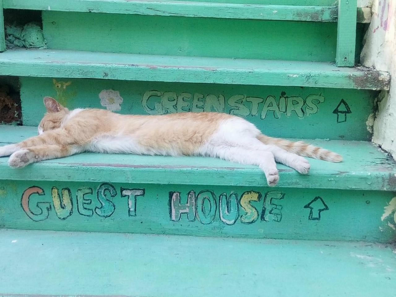 Green Stairs Guest House Tbilisi Ngoại thất bức ảnh
